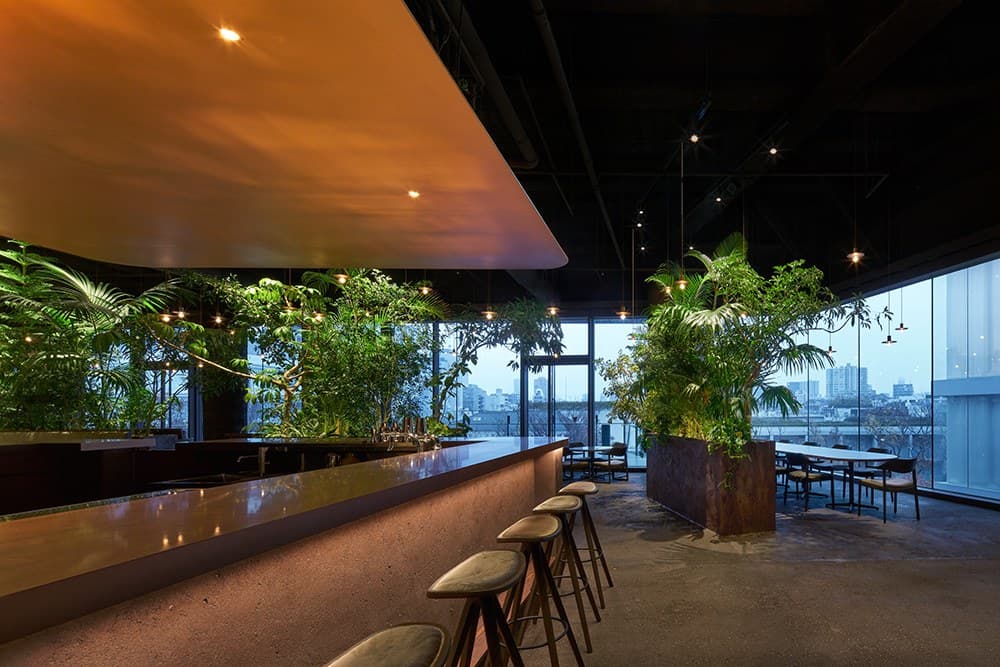 GYRE.FOOD — image 5, Conde House