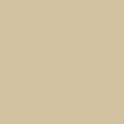 Pacini & Cappellini CLOSED PORE MATT CHAMPAGNE/Closed Pore Matt