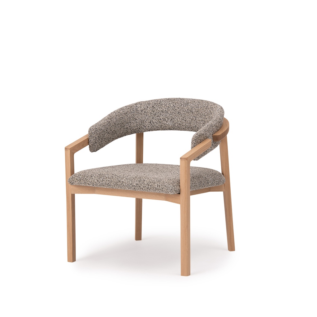 AIMA Living Easy Chair 5