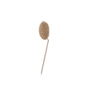 Sestina Lux Headrest - 3