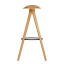 BCTD High Stool 2