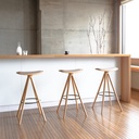 BCTD High Stool 6