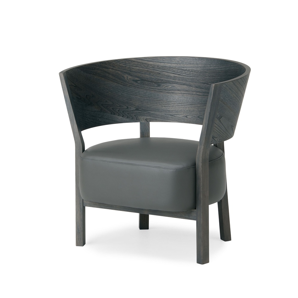 Tosai Lux Easy Chair - 6