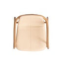 SPLINTER Dining Armchair (shell) 4